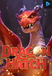 Bocoran RTP Dragon Hatch di Shibatota