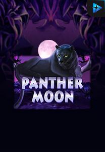Bocoran RTP Panther Moon di Shibatota