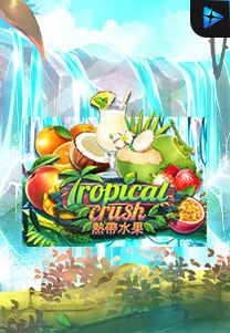 Bocoran RTP Tropical Crush di Shibatota
