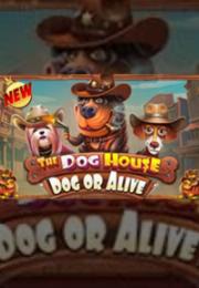 Bocoran RTP The Dog House – Dog or Alive di Shibatota