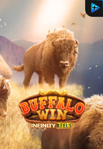 Bocoran RTP Buffalo Win Infinity Reels di Shibatota