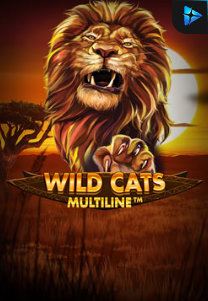 Bocoran RTP Wild Cat Multiline di Shibatota