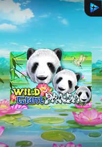 Bocoran RTP Wild Giant Panda di Shibatota
