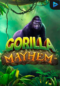 Bocoran RTP Gorilla Mayhem di Shibatota