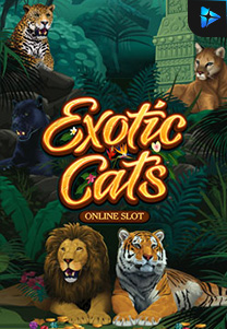 Bocoran RTP exoticcats di Shibatota